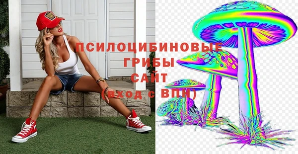 мдпв Баксан