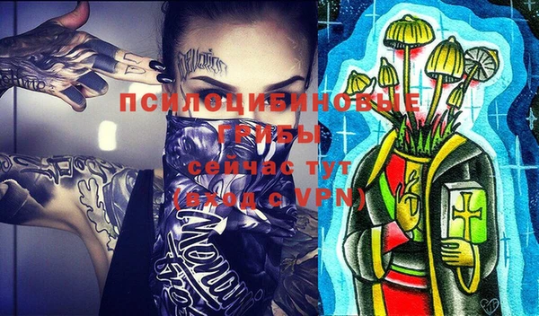mdpv Михайлов